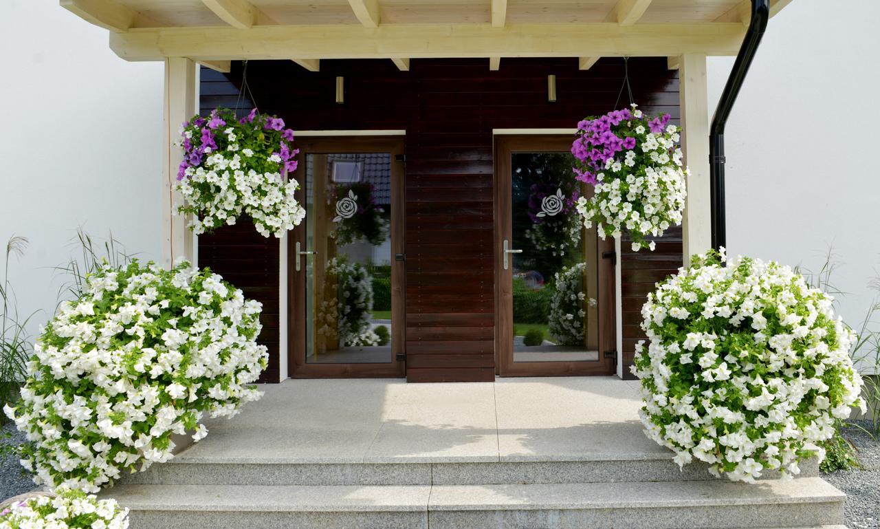 Apartamenty U Harrego II Przy Stawie Spa Klimatyzacja,Balkon,Sauna , Balia, Ogrod,Parking Kudowa Zdroj Ngoại thất bức ảnh